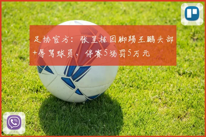 足协官方：张呈栋因脚踢王鹏头部+辱骂球员，停赛5场罚5万元