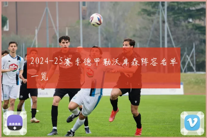 2024-25赛季德甲勒沃库森阵容名单一览